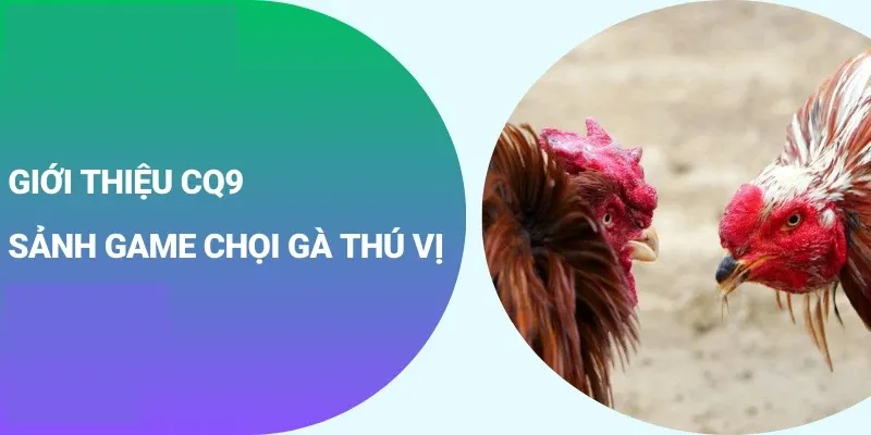 Sảnh đá gà CQ9 cực kỳ thú vị